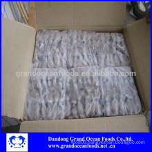 BQF baby squid in wholesale